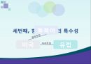 일본의 동북아 정책동북아 지역협력동아시아 지역주의 정책일본의 동아시아 지역주의 29페이지