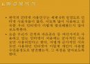 국내외 인터넷 발달과정 비교 3페이지