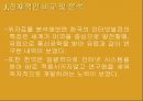 국내외 인터넷 발달과정 비교 20페이지