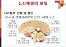 신체생리 모델과 심리역동 모델 5페이지