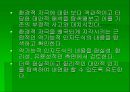 인지행동적 상담 이론 - 인간에 대한 기본 관점 30페이지