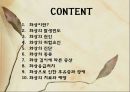 화상 (BURNS) - 화상의 발생빈도 원인 위험요인 진단 종류 2페이지