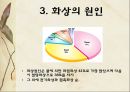화상 (BURNS) - 화상의 발생빈도 원인 위험요인 진단 종류 7페이지