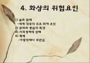 화상 (BURNS) - 화상의 발생빈도 원인 위험요인 진단 종류 8페이지