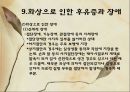 화상 (BURNS) - 화상의 발생빈도 원인 위험요인 진단 종류 30페이지