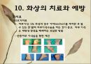 화상 (BURNS) - 화상의 발생빈도 원인 위험요인 진단 종류 35페이지