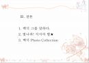 백석 - 흰 당나귀를 타고 기행하다 4페이지