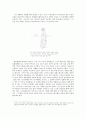 [영화감상문] 부산국제영화제 - 모라토리움기의 다마코 2페이지