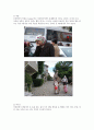 이슬람 문화 - 터키의 종교와 의식주 5페이지