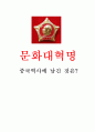 문화대혁명 - 중국역사에 남긴 것은 1페이지