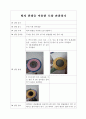 과학 탐구 보고서 -  빛의 편광을 이용한 모양 관찰하기 1페이지