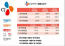 CJ오쇼핑 기업분석CJ오쇼핑 경영전략사례CJ오쇼핑 브랜드마케팅CJ오쇼핑 서비스마케팅글로벌경영사례분석swotstp4p 24페이지