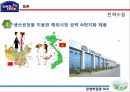 Lock&Lock 사명락앤락 기업분석락앤락 브랜드마케팅서비스마케팅글로벌경영사례분석swotstp4p 29페이지
