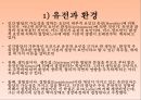 인간의 발달발달의 의의태내의 발달신생아기의 발달영아기와 유아기의 발달발달의 개념발달의 원리단계이론과 연속이론 10페이지