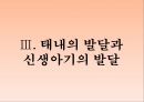 인간의 발달발달의 의의태내의 발달신생아기의 발달영아기와 유아기의 발달발달의 개념발달의 원리단계이론과 연속이론 15페이지