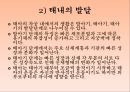 인간의 발달발달의 의의태내의 발달신생아기의 발달영아기와 유아기의 발달발달의 개념발달의 원리단계이론과 연속이론 17페이지