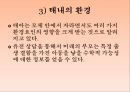 인간의 발달발달의 의의태내의 발달신생아기의 발달영아기와 유아기의 발달발달의 개념발달의 원리단계이론과 연속이론 18페이지