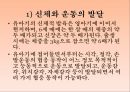 인간의 발달발달의 의의태내의 발달신생아기의 발달영아기와 유아기의 발달발달의 개념발달의 원리단계이론과 연속이론 44페이지