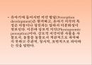 인간의 발달발달의 의의태내의 발달신생아기의 발달영아기와 유아기의 발달발달의 개념발달의 원리단계이론과 연속이론 46페이지
