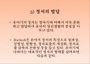 인간의 발달발달의 의의태내의 발달신생아기의 발달영아기와 유아기의 발달발달의 개념발달의 원리단계이론과 연속이론 52페이지