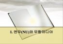 인도네시아 이슬람 사회엔우(NU)와 무함마디야원리주의 이슬람과 태형르바란과 단식무슬림 사회이슬람 테러조직 3페이지