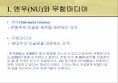 인도네시아 이슬람 사회엔우(NU)와 무함마디야원리주의 이슬람과 태형르바란과 단식무슬림 사회이슬람 테러조직 5페이지