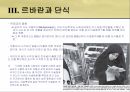 인도네시아 이슬람 사회엔우(NU)와 무함마디야원리주의 이슬람과 태형르바란과 단식무슬림 사회이슬람 테러조직 22페이지