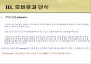 인도네시아 이슬람 사회엔우(NU)와 무함마디야원리주의 이슬람과 태형르바란과 단식무슬림 사회이슬람 테러조직 25페이지