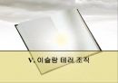 인도네시아 이슬람 사회엔우(NU)와 무함마디야원리주의 이슬람과 태형르바란과 단식무슬림 사회이슬람 테러조직 30페이지