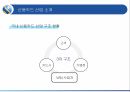 신한카드 마케팅신한카드 신용카드시장신한카드 브랜드마케팅신한카드 서비스마케팅글로벌경영사례분석swotstp4p 10페이지