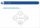 신한카드 마케팅신한카드 신용카드시장신한카드 브랜드마케팅신한카드 서비스마케팅글로벌경영사례분석swotstp4p 44페이지