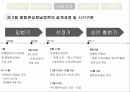 종합편성채널정책 형성과정정책네트워크 이론정책네트워크 이론사례분석 모형종합편성 채널이란종합편성 정책의 목표종합편성 4채널 11페이지