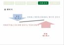 종합편성채널정책 형성과정정책네트워크 이론정책네트워크 이론사례분석 모형종합편성 채널이란종합편성 정책의 목표종합편성 4채널 22페이지