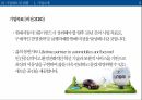 현대자동차 기업분석현대자동차 마케팅사례현대자동차 기업문화현대자동차 브랜드마케팅서비스마케팅글로벌경영사례분석swotstp4p 5페이지