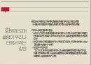한국의 소매업편의점슈퍼마켓백화점소매업의 정의전통 시장의 위기브랜드마케팅서비스마케팅글로벌경영사례분석 66페이지