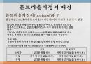 몬트리올의정서교토의정서미국의 협상 전략외교정책 분석틀몬트리올의정서협상에 대한 정의루빈과 브라운 7페이지