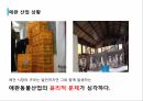 애견산업직업 윤리의식애견산업 현황애완산업 실태 6페이지