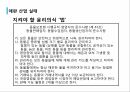 애견산업직업 윤리의식애견산업 현황애완산업 실태 8페이지