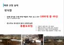 애견산업직업 윤리의식애견산업 현황애완산업 실태 10페이지