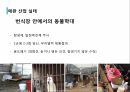 애견산업직업 윤리의식애견산업 현황애완산업 실태 11페이지