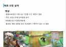 애견산업직업 윤리의식애견산업 현황애완산업 실태 15페이지