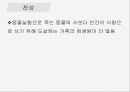 인간과 윤리동물실험에 대한 찬성과 반대동물 실험이란동물실험 찬성동물실험 반대 9페이지