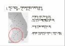 전라도 방언 연구전라 방언의 역사성전라방언의 연구전라방언의 지리적 특성음운적 특징-음운체계 7페이지