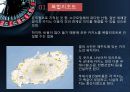외국인 전용카지노외국인 전용 카지노의 현황한국 카지노 산업 현황 17페이지