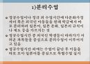 국제이해교육다문화공생 교육일본 다문화공생다문화공생 교육의 사례 7페이지