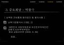 국가안보론남한의 군비통제북한의 군비통제평화 보장 방안남북한 불가침 선언남북한 평화협정 12페이지