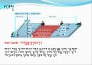국제물품FCA란FCA 주요특징FCA 사례 분석Free Carrier(지정운송인인도조건) 3페이지