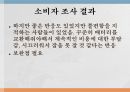 광고와 마케팅소비자 조사소비자 조사 결과SWOT 분석STP전략 4페이지
