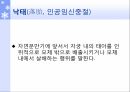 낙태(인공임신중절)낙태의 현황낙태 현황 대한민국모자보건법 2페이지