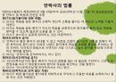 A+안락사ppt레포트 4페이지